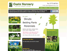 Tablet Screenshot of oasisnursery.co.uk